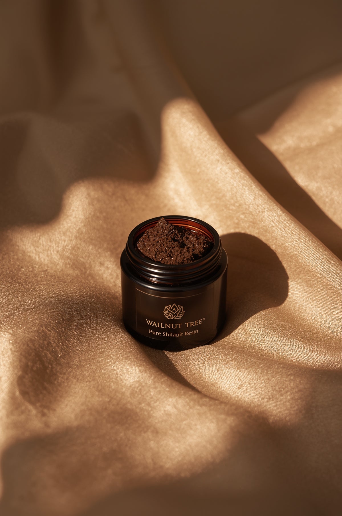 TIMELESS SHOULDER STYLE